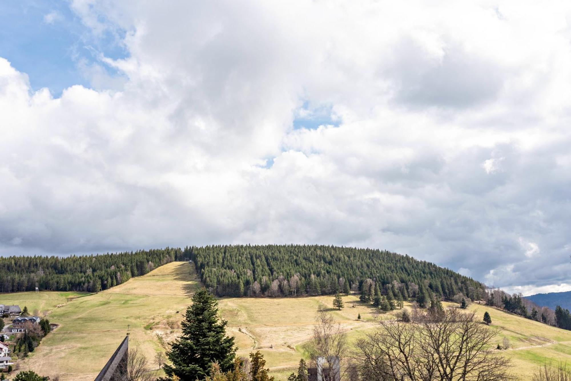 Haus Bergruh Kuckucksnest Διαμέρισμα Todtnauberg Εξωτερικό φωτογραφία